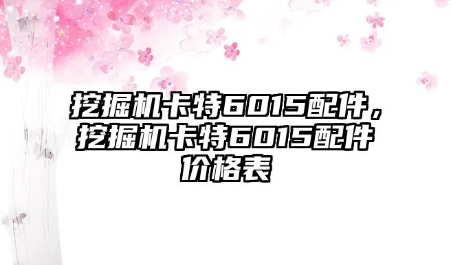 挖掘機卡特6015配件，挖掘機卡特6015配件價格表