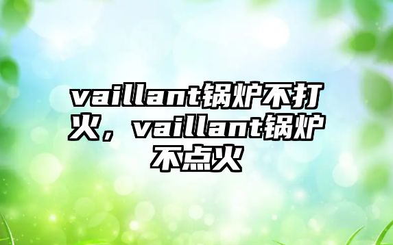 vaillant鍋爐不打火，vaillant鍋爐不點(diǎn)火