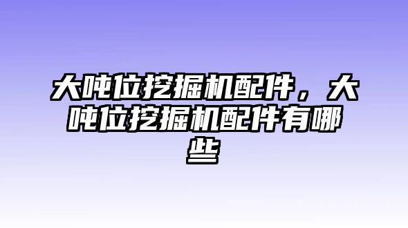 大噸位挖掘機(jī)配件，大噸位挖掘機(jī)配件有哪些