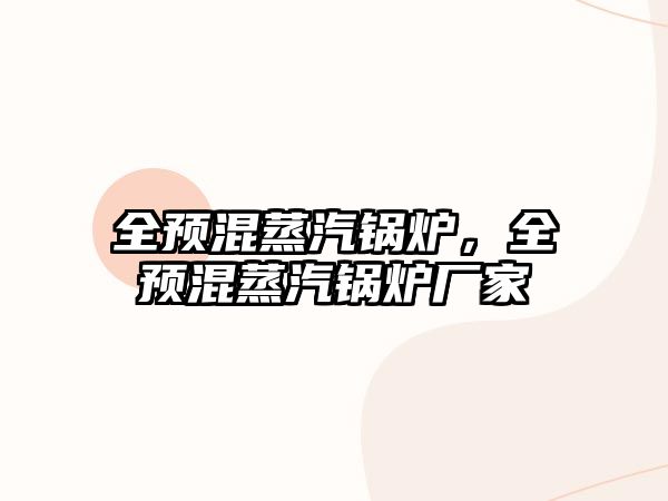 全預(yù)混蒸汽鍋爐，全預(yù)混蒸汽鍋爐廠家