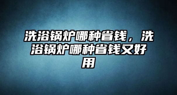 洗浴鍋爐哪種省錢，洗浴鍋爐哪種省錢又好用