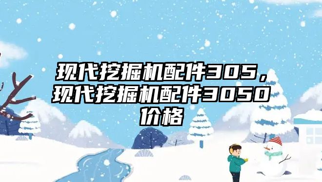 現(xiàn)代挖掘機(jī)配件305，現(xiàn)代挖掘機(jī)配件3050價格