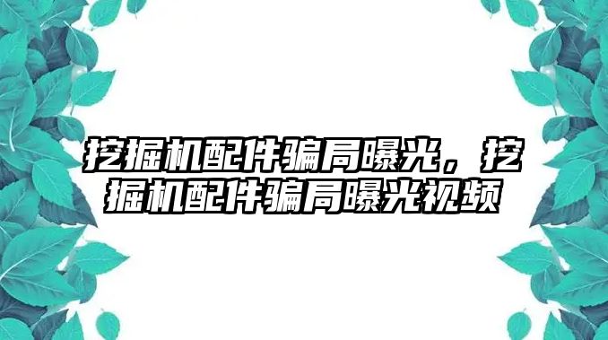 挖掘機配件騙局曝光，挖掘機配件騙局曝光視頻