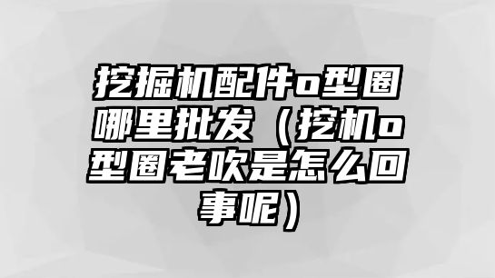 挖掘機(jī)配件o型圈哪里批發(fā)（挖機(jī)o型圈老吹是怎么回事呢）