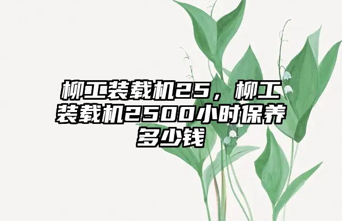 柳工裝載機(jī)25，柳工裝載機(jī)2500小時(shí)保養(yǎng)多少錢