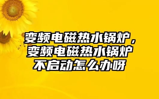 變頻電磁熱水鍋爐，變頻電磁熱水鍋爐不啟動怎么辦呀