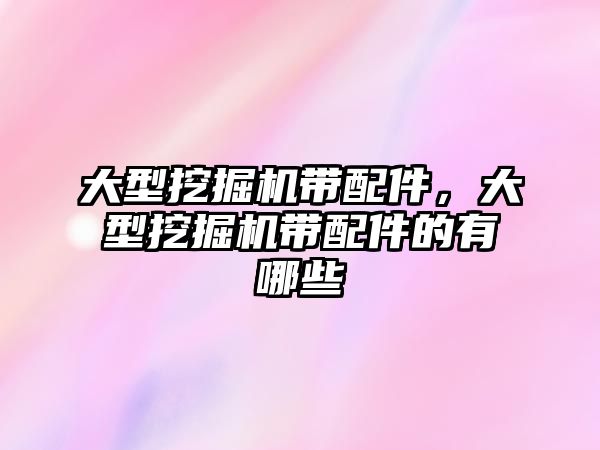 大型挖掘機帶配件，大型挖掘機帶配件的有哪些