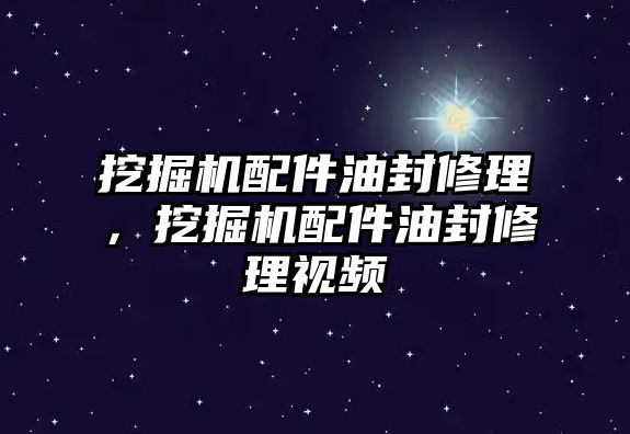 挖掘機(jī)配件油封修理，挖掘機(jī)配件油封修理視頻