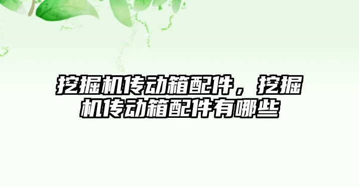 挖掘機傳動箱配件，挖掘機傳動箱配件有哪些