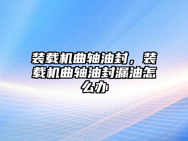 裝載機(jī)曲軸油封，裝載機(jī)曲軸油封漏油怎么辦