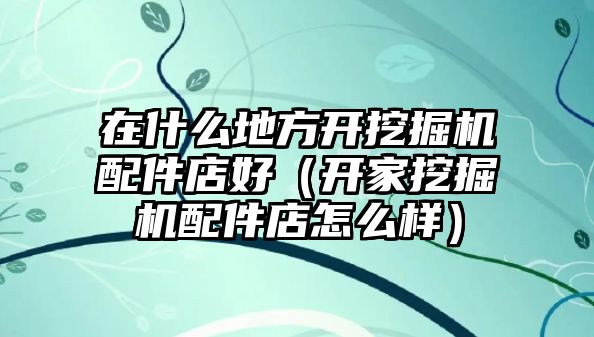 在什么地方開挖掘機(jī)配件店好（開家挖掘機(jī)配件店怎么樣）