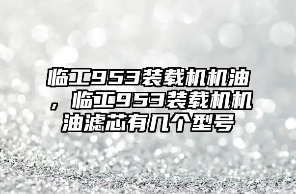 臨工953裝載機機油，臨工953裝載機機油濾芯有幾個型號