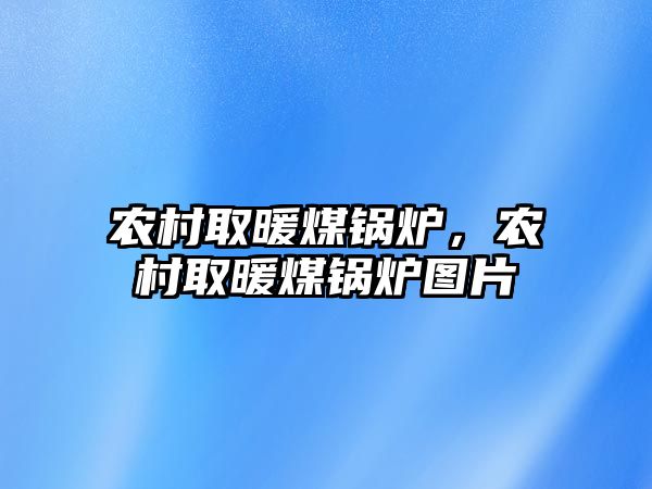 農(nóng)村取暖煤鍋爐，農(nóng)村取暖煤鍋爐圖片