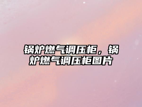 鍋爐燃?xì)庹{(diào)壓柜，鍋爐燃?xì)庹{(diào)壓柜圖片