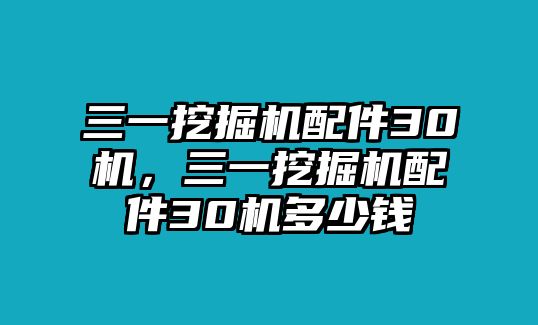 三一挖掘機(jī)配件30機(jī)，三一挖掘機(jī)配件30機(jī)多少錢