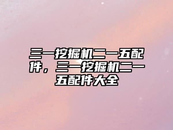 三一挖掘機(jī)二一五配件，三一挖掘機(jī)二一五配件大全