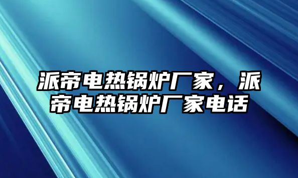 派帝電熱鍋爐廠家，派帝電熱鍋爐廠家電話