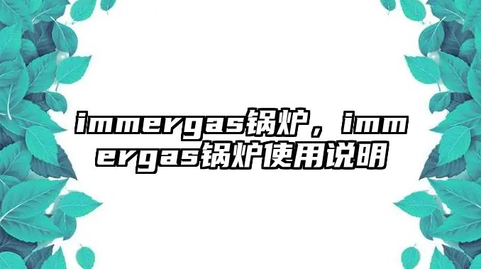 immergas鍋爐，immergas鍋爐使用說明