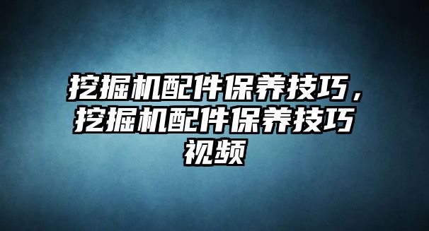 挖掘機配件保養(yǎng)技巧，挖掘機配件保養(yǎng)技巧視頻