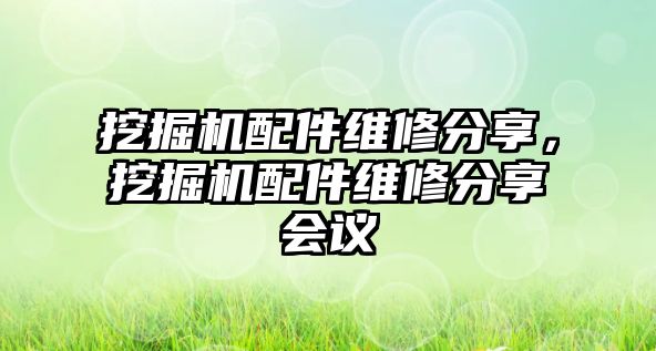 挖掘機配件維修分享，挖掘機配件維修分享會議