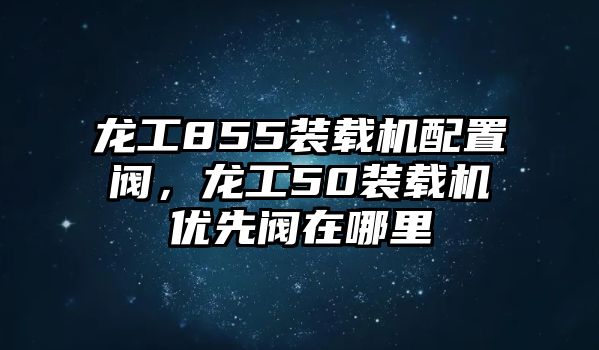 龍工855裝載機配置閥，龍工50裝載機優(yōu)先閥在哪里