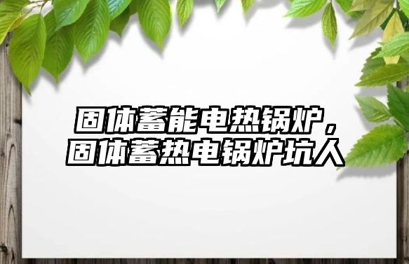 固體蓄能電熱鍋爐，固體蓄熱電鍋爐坑人