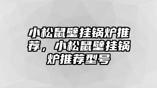 小松鼠壁掛鍋爐推薦，小松鼠壁掛鍋爐推薦型號(hào)