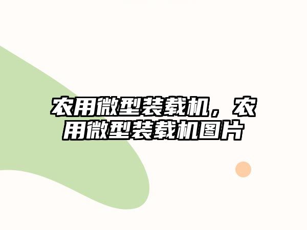 農(nóng)用微型裝載機(jī)，農(nóng)用微型裝載機(jī)圖片