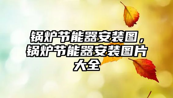 鍋爐節(jié)能器安裝圖，鍋爐節(jié)能器安裝圖片大全