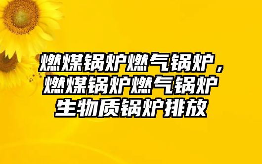 燃煤鍋爐燃?xì)忮仩t，燃煤鍋爐燃?xì)忮仩t生物質(zhì)鍋爐排放