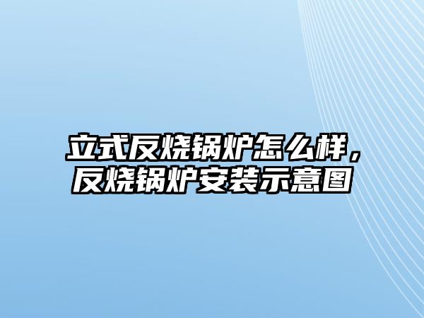 立式反燒鍋爐怎么樣，反燒鍋爐安裝示意圖