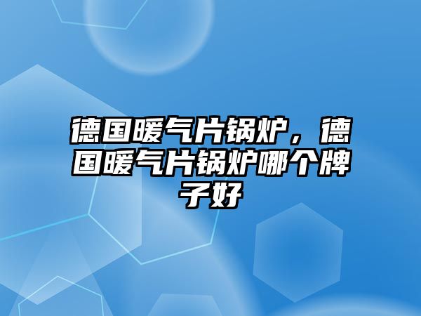 德國暖氣片鍋爐，德國暖氣片鍋爐哪個(gè)牌子好