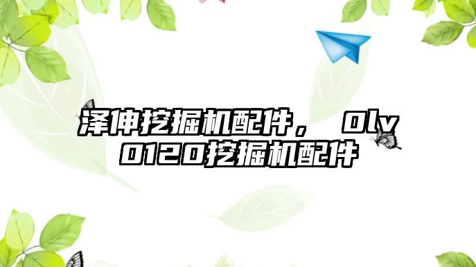 澤伸挖掘機配件，ⅴ0lv0120挖掘機配件