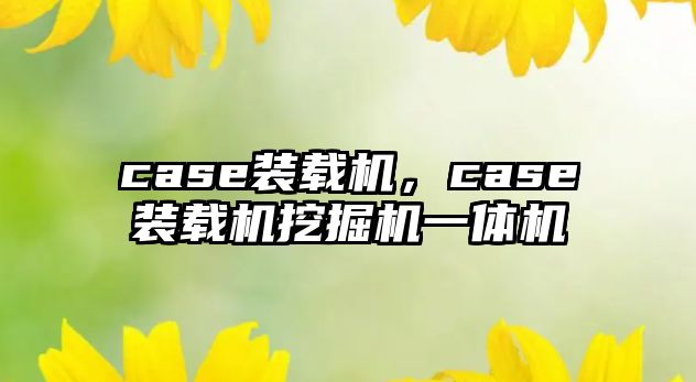 case裝載機，case裝載機挖掘機一體機