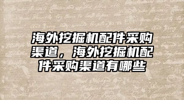 海外挖掘機(jī)配件采購渠道，海外挖掘機(jī)配件采購渠道有哪些