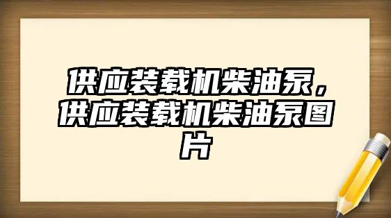 供應(yīng)裝載機(jī)柴油泵，供應(yīng)裝載機(jī)柴油泵圖片