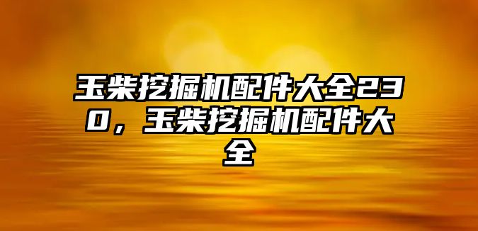 玉柴挖掘機(jī)配件大全230，玉柴挖掘機(jī)配件大全