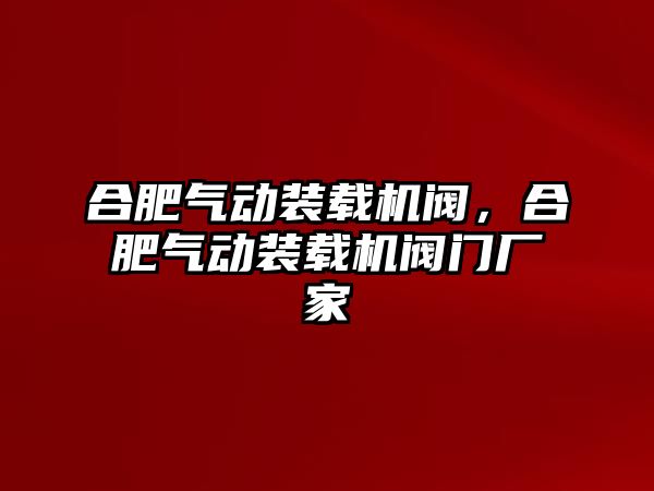 合肥氣動(dòng)裝載機(jī)閥，合肥氣動(dòng)裝載機(jī)閥門廠家