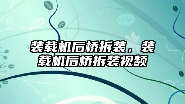 裝載機后橋拆裝，裝載機后橋拆裝視頻