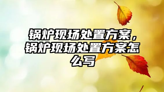 鍋爐現(xiàn)場(chǎng)處置方案，鍋爐現(xiàn)場(chǎng)處置方案怎么寫(xiě)