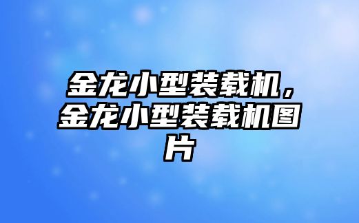 金龍小型裝載機，金龍小型裝載機圖片