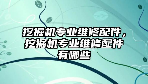 挖掘機(jī)專業(yè)維修配件，挖掘機(jī)專業(yè)維修配件有哪些