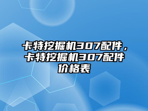 卡特挖掘機(jī)307配件，卡特挖掘機(jī)307配件價(jià)格表