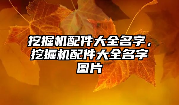 挖掘機配件大全名字，挖掘機配件大全名字圖片