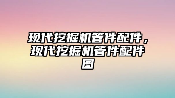 現代挖掘機管件配件，現代挖掘機管件配件圖