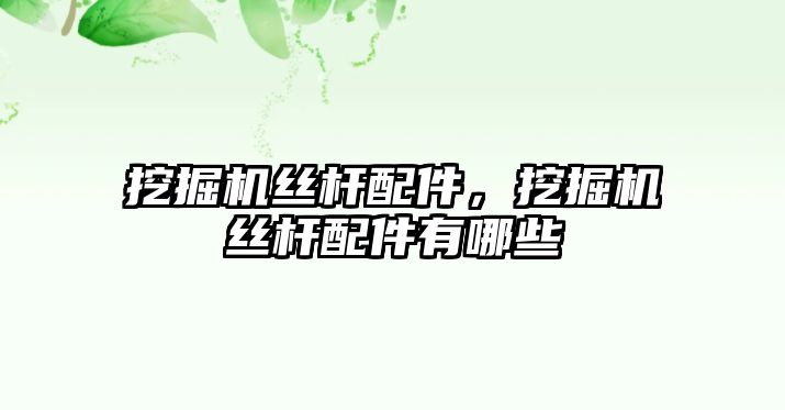 挖掘機(jī)絲桿配件，挖掘機(jī)絲桿配件有哪些