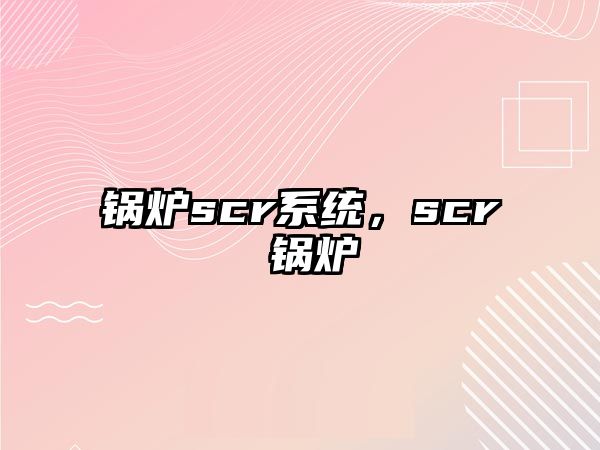 鍋爐scr系統(tǒng)，scr 鍋爐