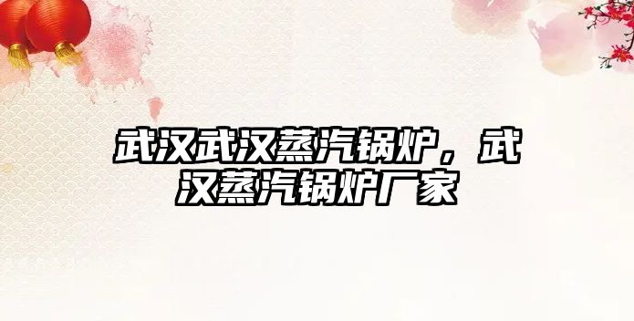 武漢武漢蒸汽鍋爐，武漢蒸汽鍋爐廠家