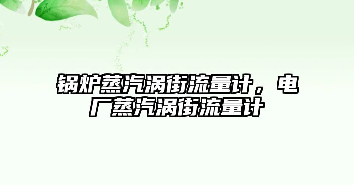 鍋爐蒸汽渦街流量計，電廠蒸汽渦街流量計