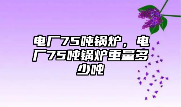 電廠75噸鍋爐，電廠75噸鍋爐重量多少噸